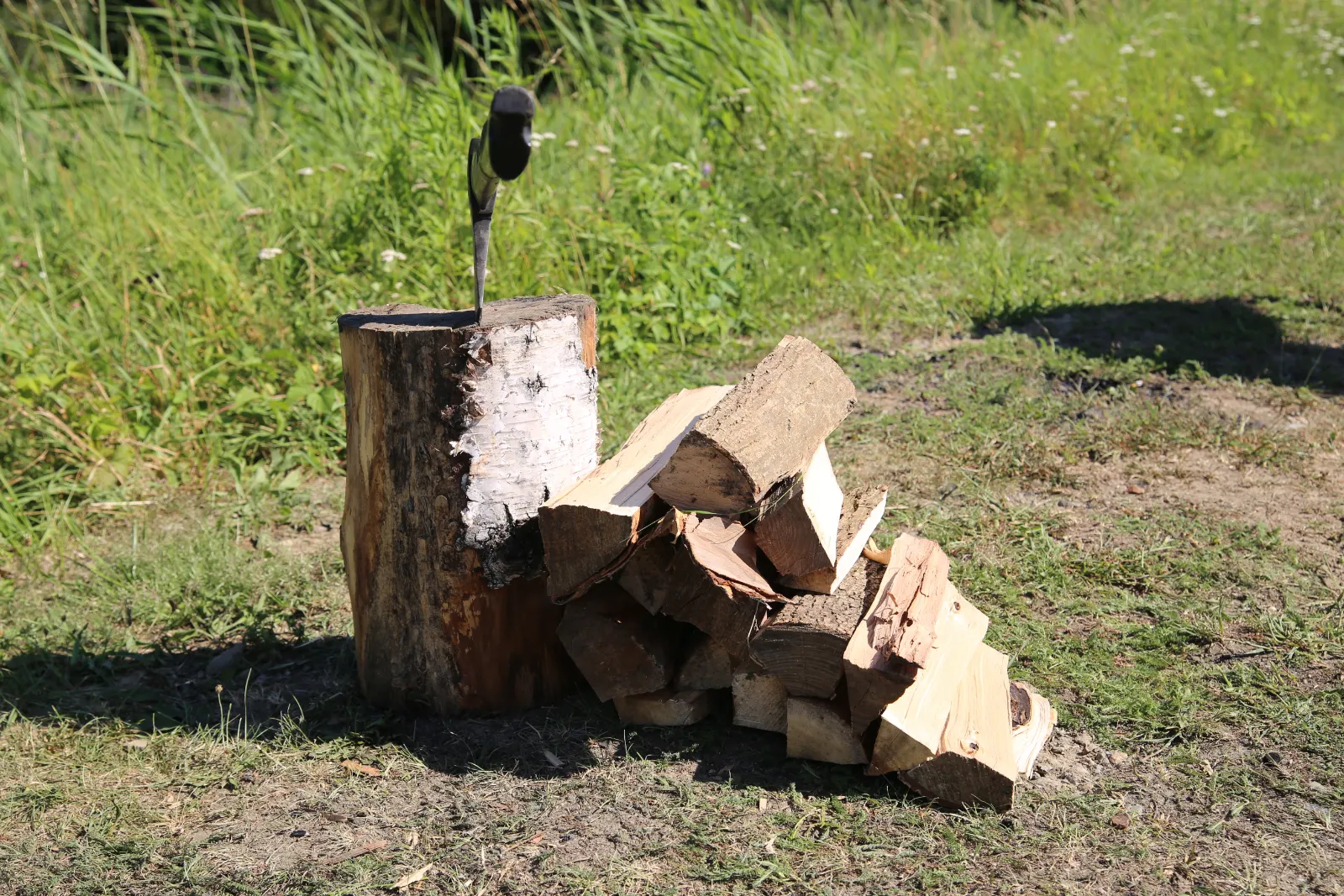 Ognisko nad Wisłą
