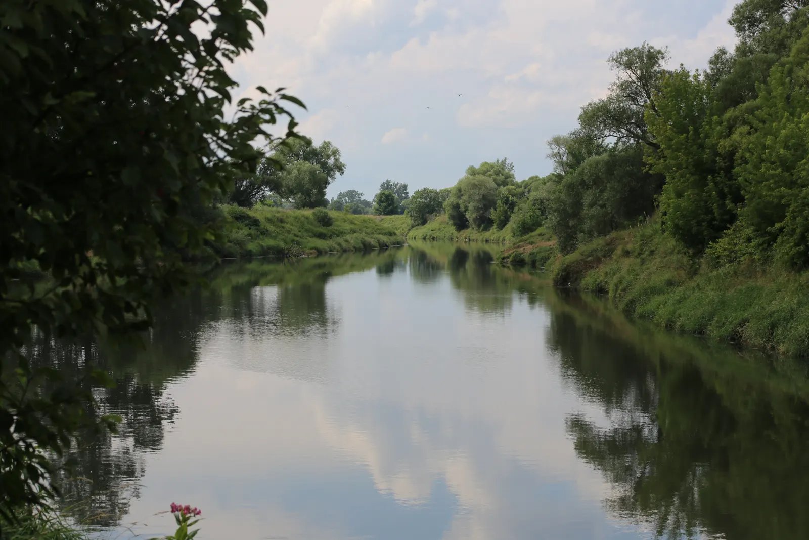 Dzika Wisła – Starorzecza i Śluza
